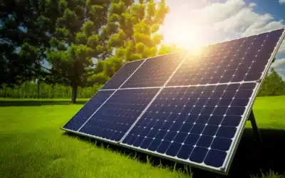 L’énergie de la biomasse démystifiée : alimenter l’avenir